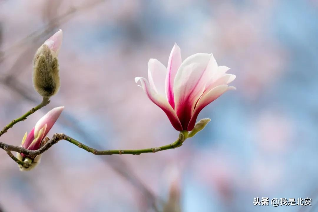 中国人民大学，生日快乐！