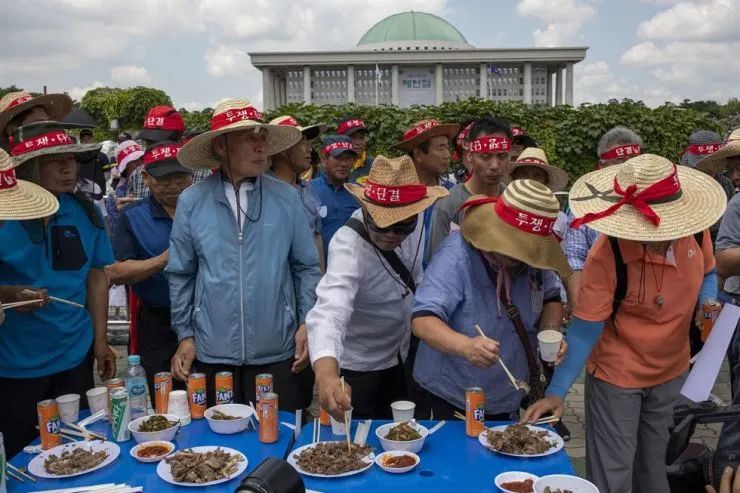 200 世界杯韩国为什么(韩国一年吃掉200万条狗却要禁吃狗肉：不是爱动物，而是讨好西方)