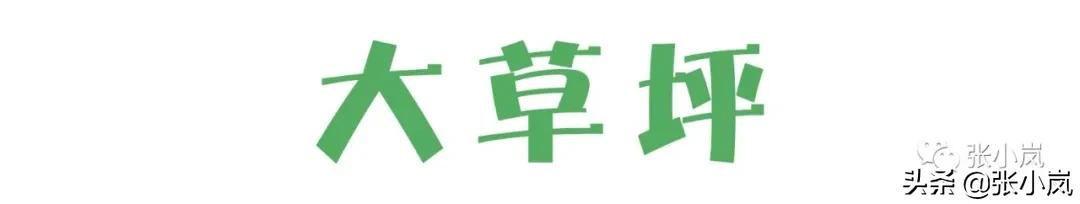 藏在韶关市中心森林里的儿童公园，大部分人都不知道，光速安排