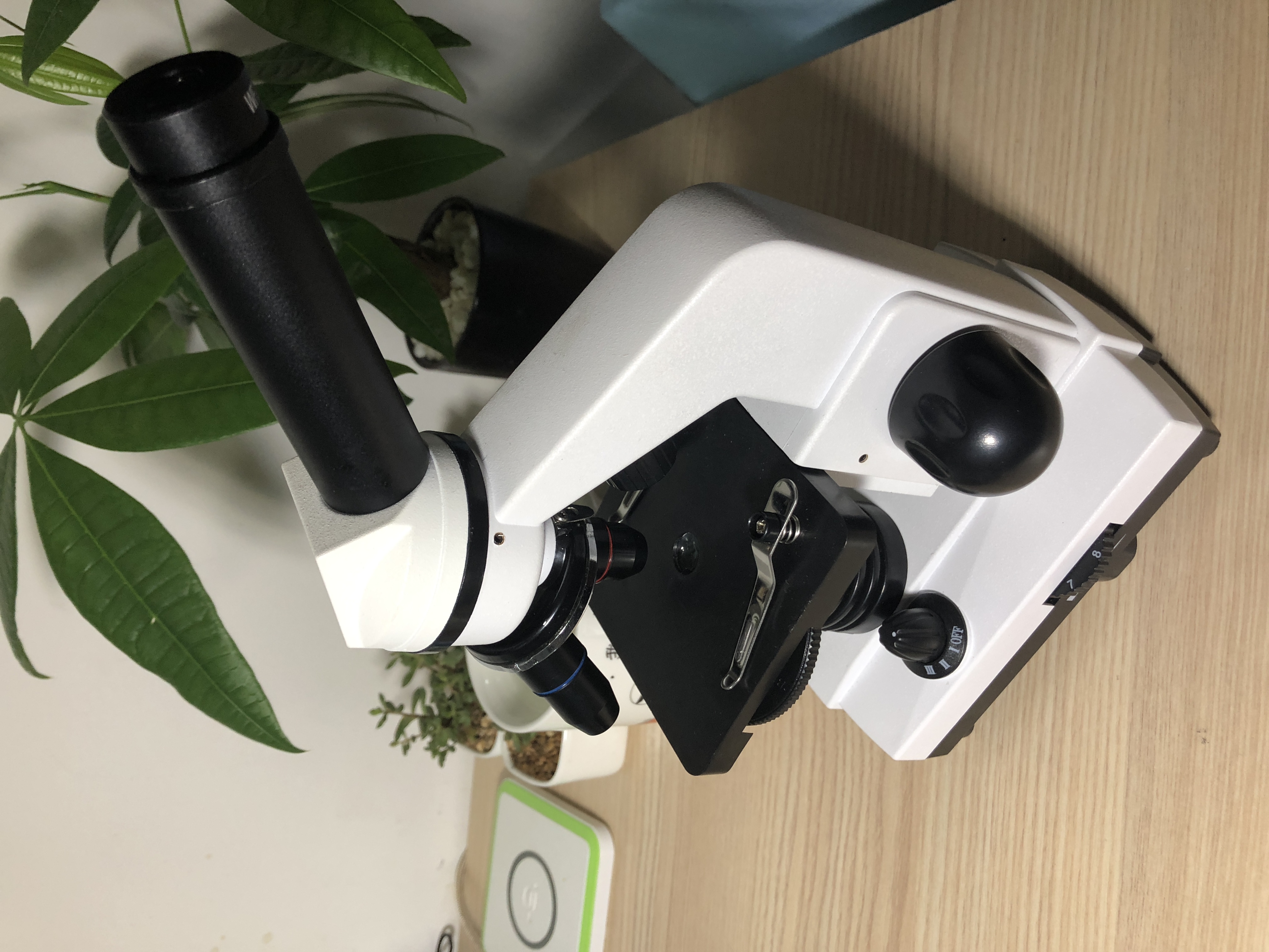 由上到下依次是目镜,镜筒,转换器,物镜,压片夹,载物台(载物台上有通光