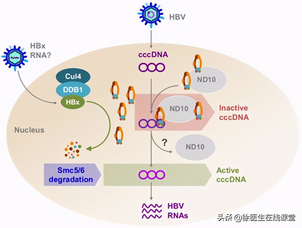 肿瘤标志物、PET CT/MR等眼花缭乱的全身防癌筛查，值得做吗？