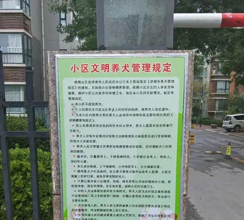 路上遇到恶狗咬人怎么办？打狗头可以自救吗？它的弱点在哪里？