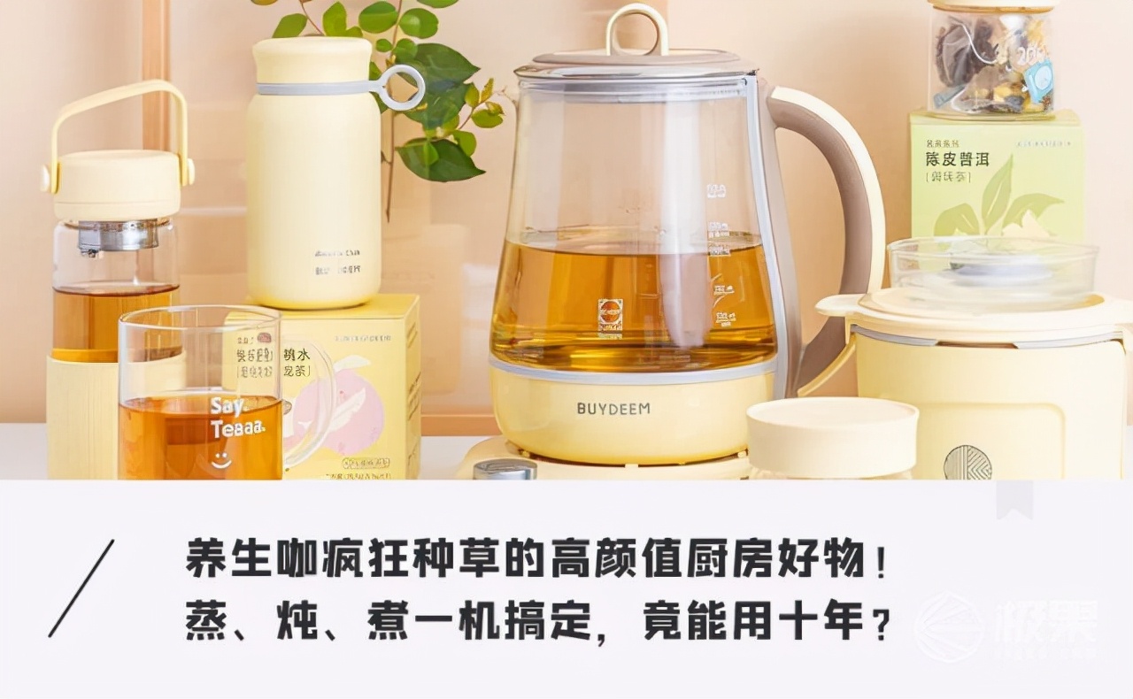 电子炖盅品牌推荐：厨房电器选购指南