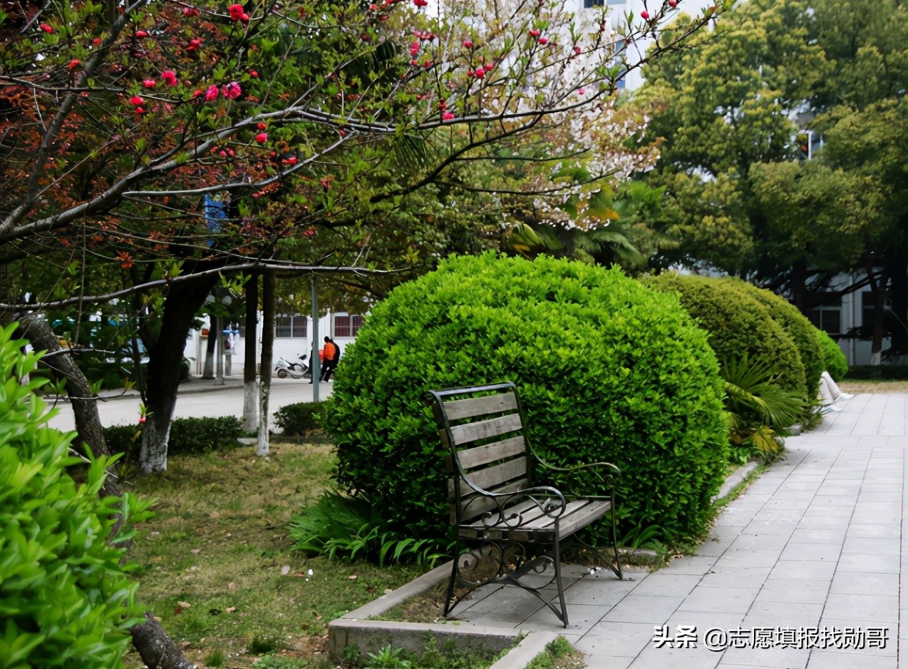 中国顶级医学院校，深度数据分析！不是“学霸”，也有好机会
