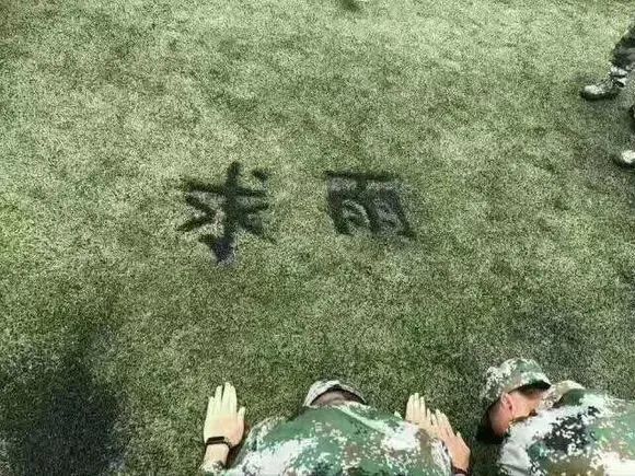 高职高考必看｜全面了解广东工贸职业技术学院