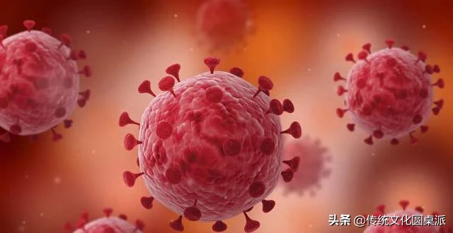 中考英语作文范文预测( 一 )