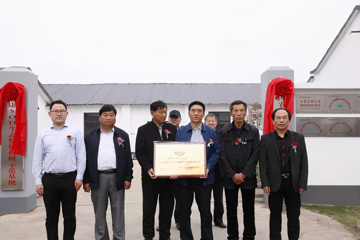 中国农业大学SOD生态粳稻示范种植成功