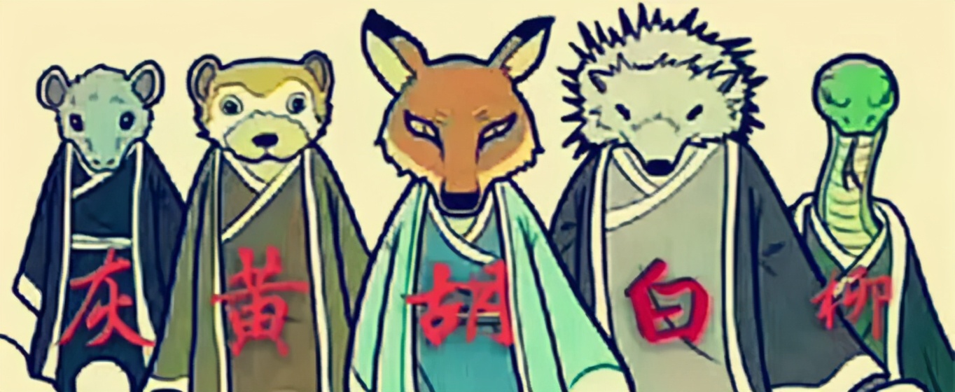 20条大蛇住进女子家中15年,生下无数小蛇,家蛇到底能不能打?