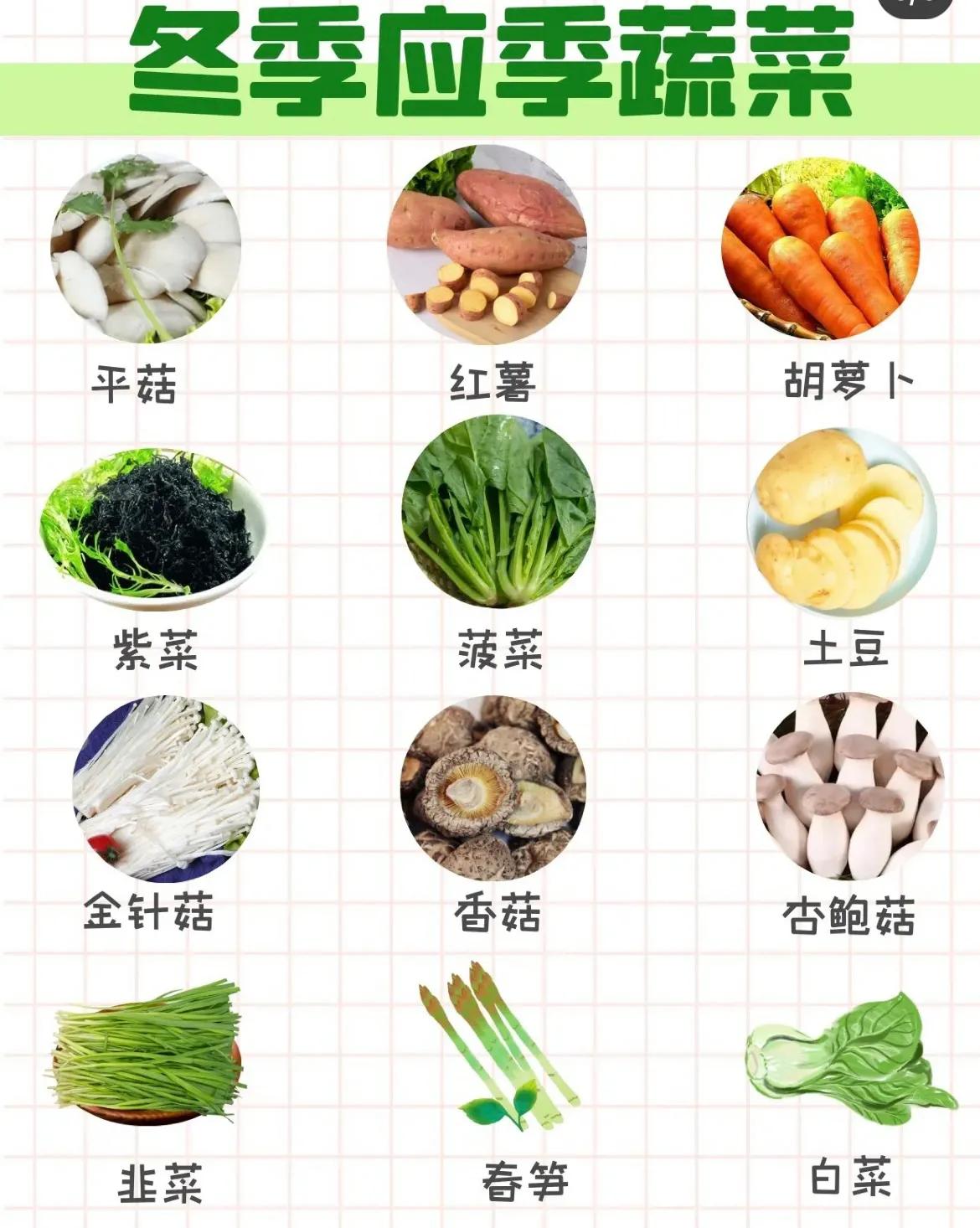 一月份当季蔬菜有哪些(每个月的当季蔬菜有哪些) - 风集网