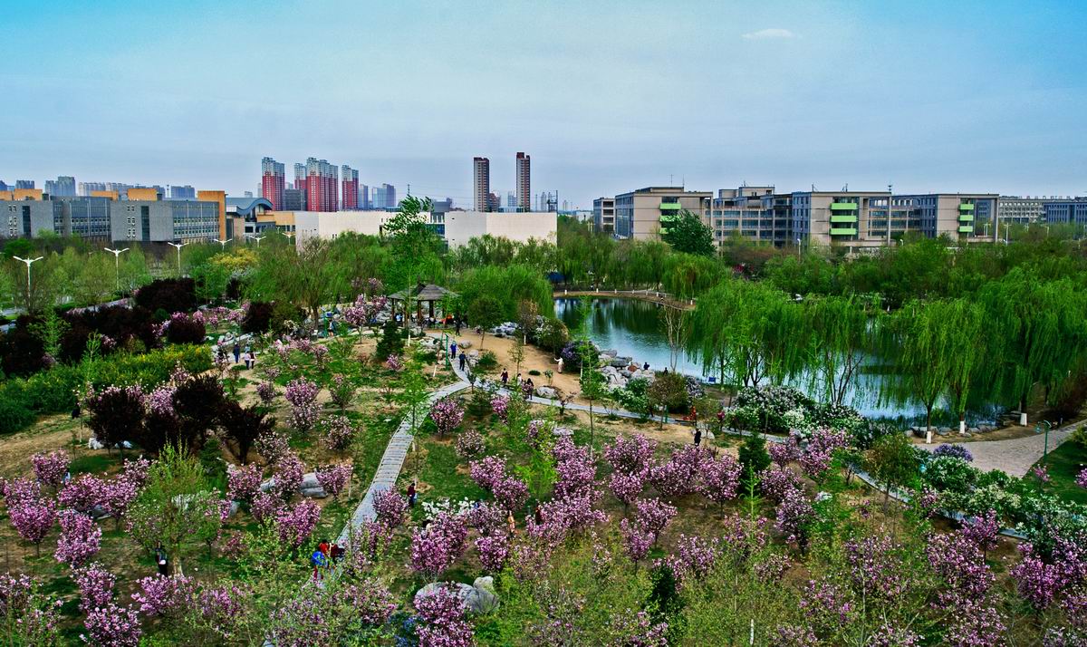 河北科技大学2020河北招生各批次录取线