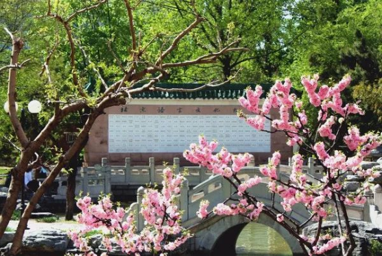 优秀！北京这所高校：走出外交部发言人、联合国发言人，直属教育部！