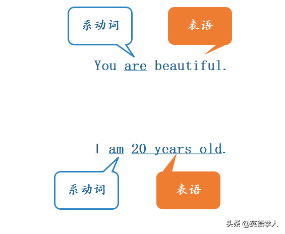 主系表结构解析：理解句子核心成分的简单方法