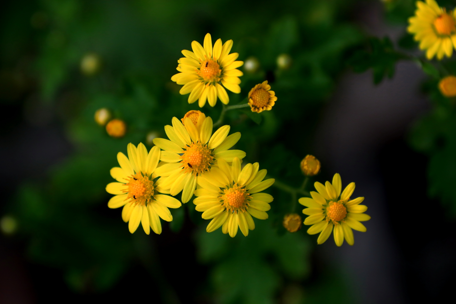 心态好,一切都好