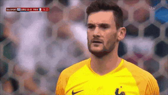 世界杯法国队队员体重（法国队历史十大最帅球员，颜值逆天！谁说法国队缺帅哥？）