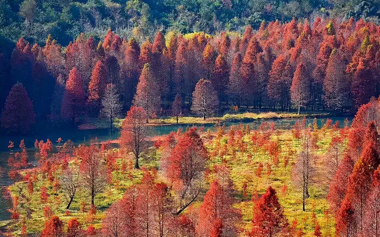 最适合11月份去的12个地方，挑上一个，住个三五天，治愈疲惫的心