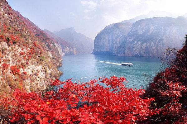 重庆市最难考的4所大学：重庆大学排第一，西南政法滑落第四