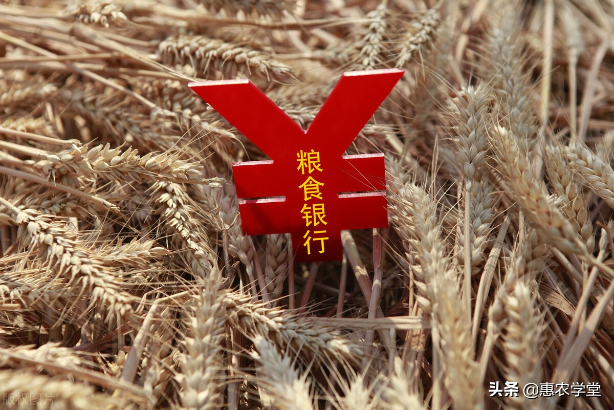 2021年有哪些粮食补贴可以领取？如何变更户主？