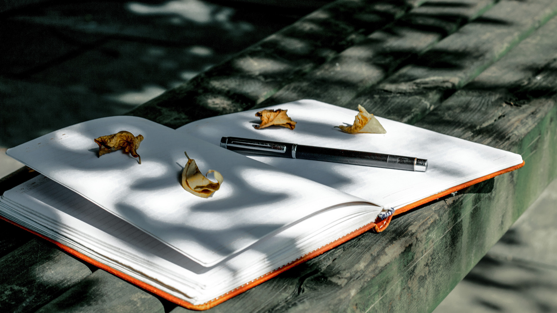 湖北经济学院专升本2021年招生专业改动大吗？有何招生专业？