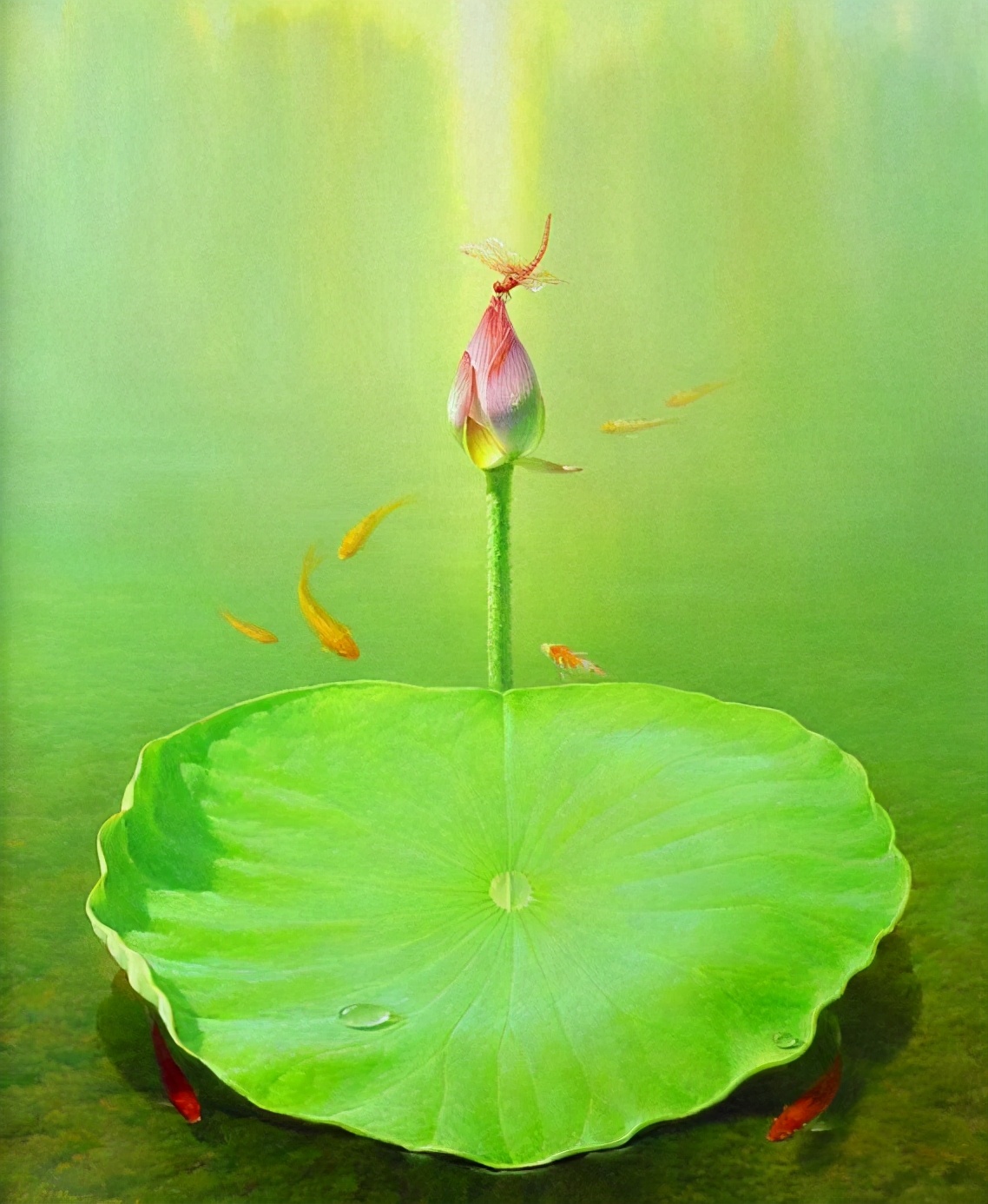 新编《大学》第八章　 山林子 自然道德智慧教育 慧商