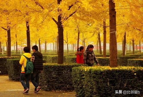 西南石油大学理学院（5月25日武汉科技大学）