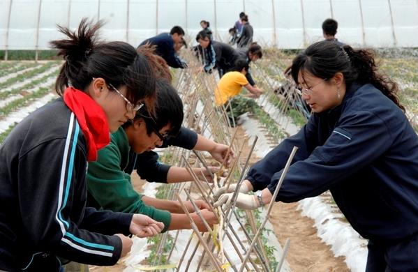 就业率高的专科学校，300多分就能被录取，毕业后有望进国企工作