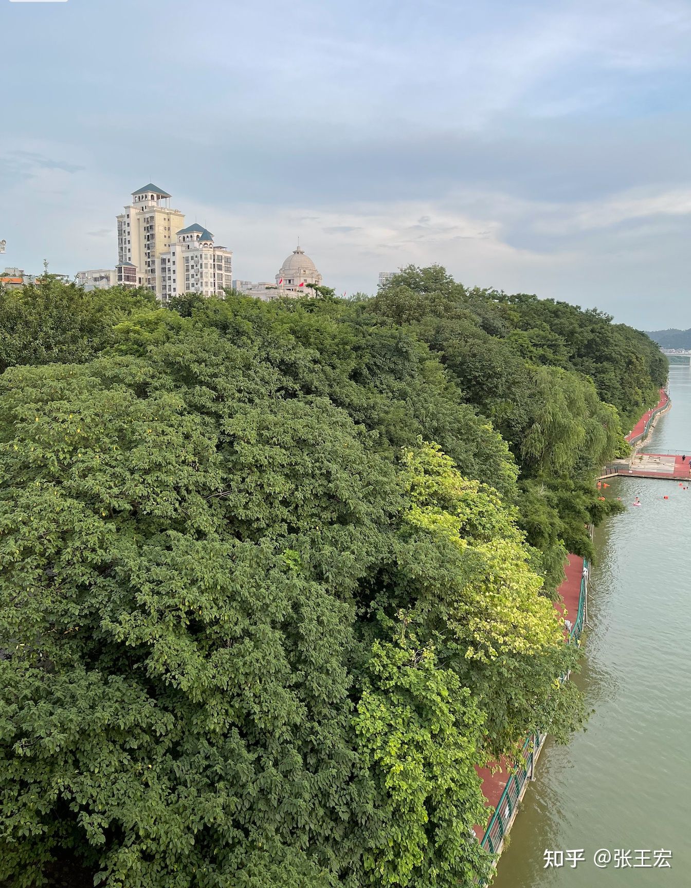 11次笑和1次低吼——金融犯罪案件辩护律师办案随笔