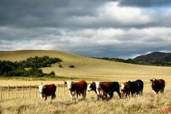 阿根廷是哪个国家（阿根廷：唯一一个退步成发展中国家的发达国家）