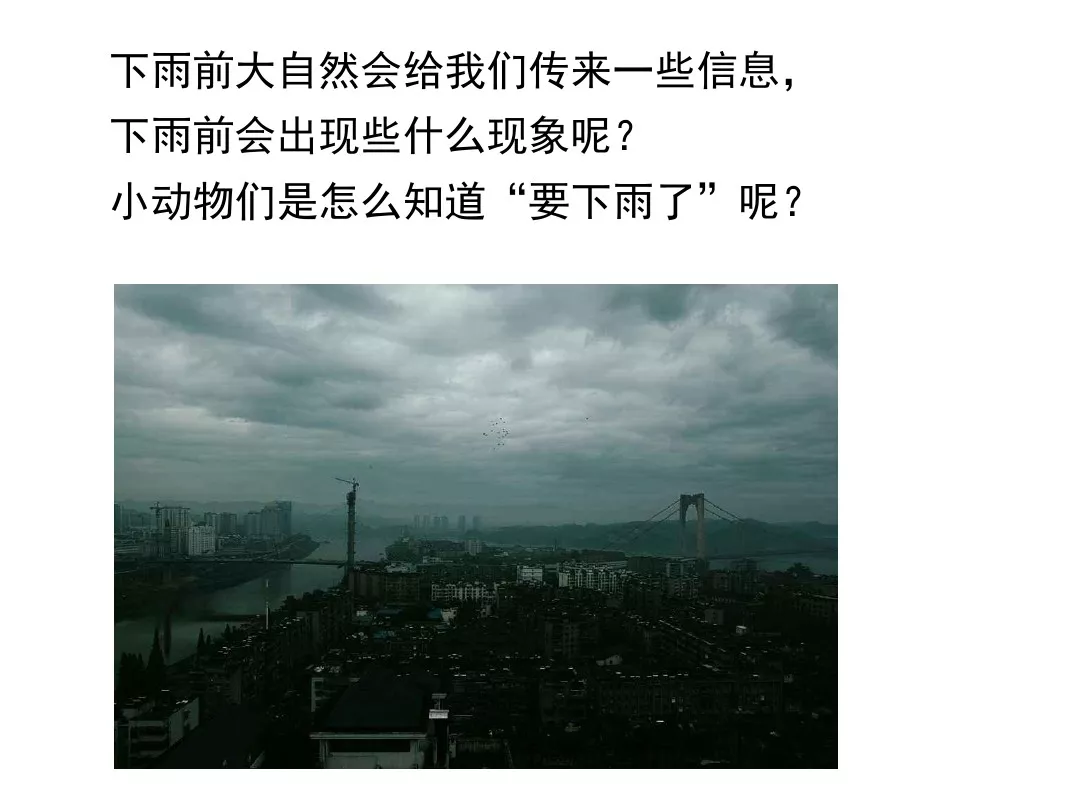 部编版一年级语文下册14课《要下雨了》知识点+图文解读+课堂练习