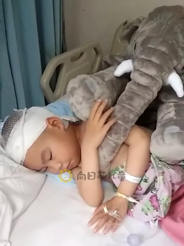 “爸爸,咱家的床好像在转”内蒙古单亲爸爸带脑瘤儿子进京求医路