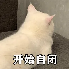 知识贴：猫咪应激反应有什么症状，该怎么应对和预防？