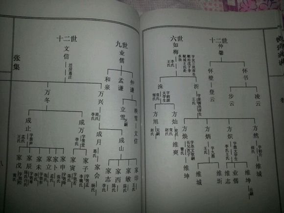 为什么很多四川人认为自己的祖先来自湖北麻城孝感乡