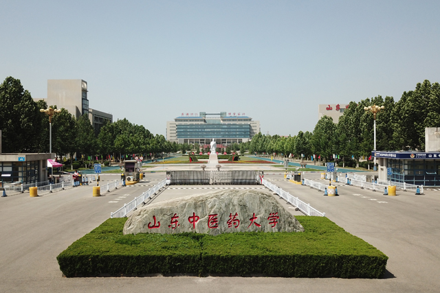 辽宁中医药大学2016录取分数线（山东中医药大学2020年招生计划）