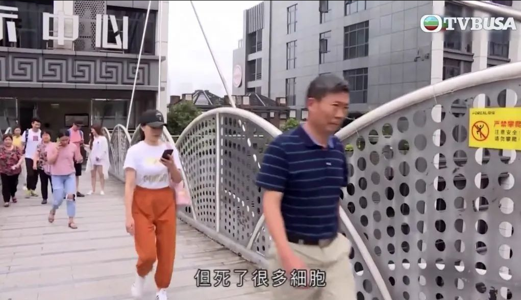 tvb世界杯旅游节目(TVB旅游节目·这么远 那么近 之重庆特辑 看完就想去山城了)