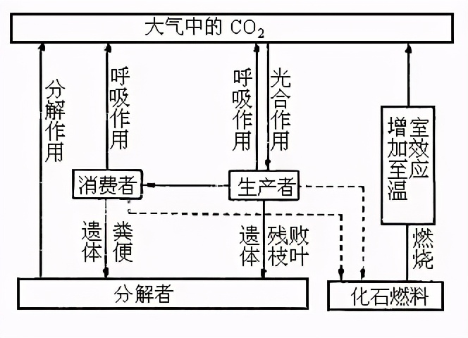 那些蕴含着生物学知识的谚语