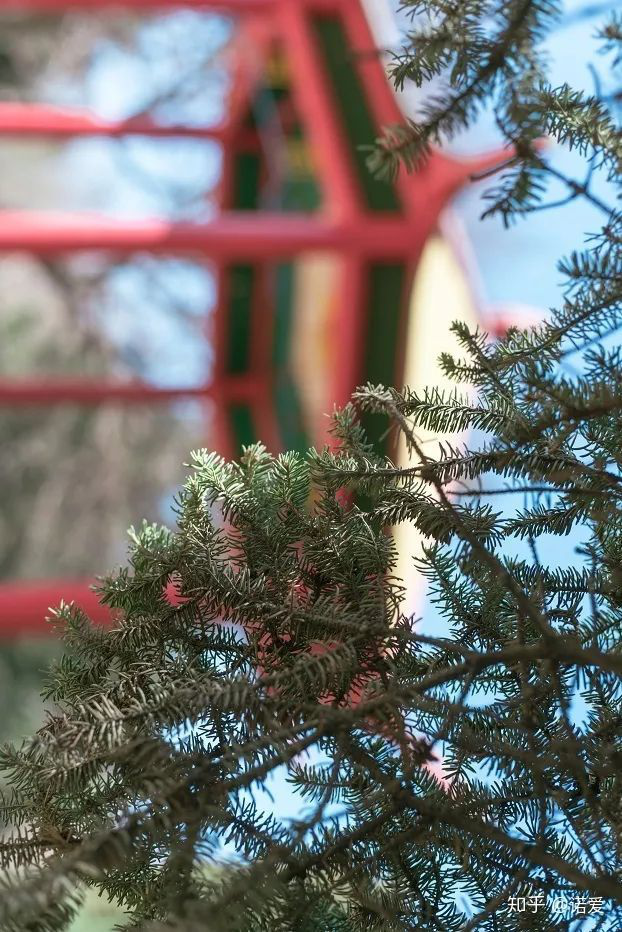 2021黑龙江省考研院校TOP10，最后一名你绝对想不到