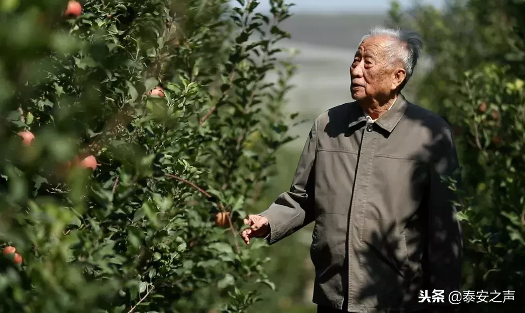 致敬！山东农业大学束怀瑞院士走进央视《大家》
