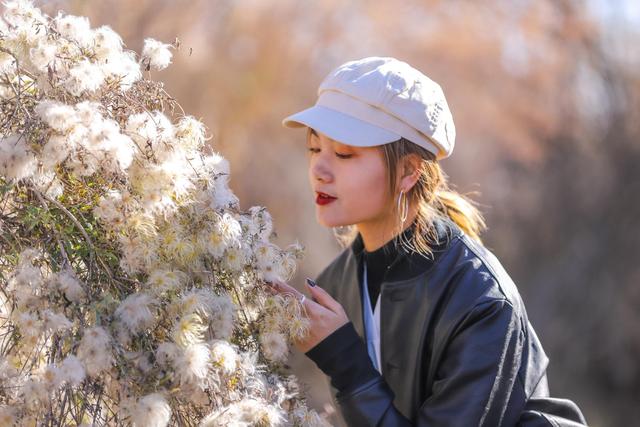 甘肃旅游，这地方藏了最美的秋天，像进入了金黄色的童话世界