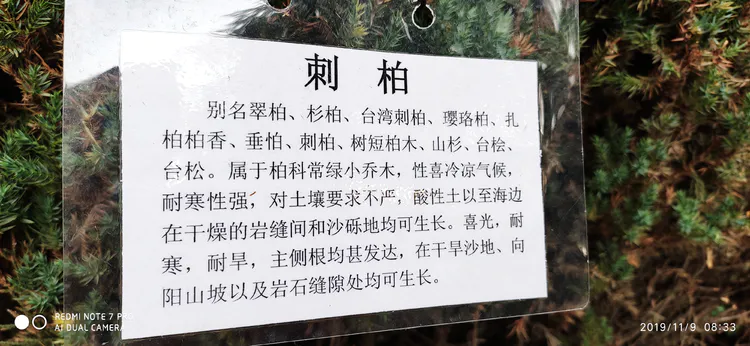 陪你一起看湖北省广水一中①——走进植物王国