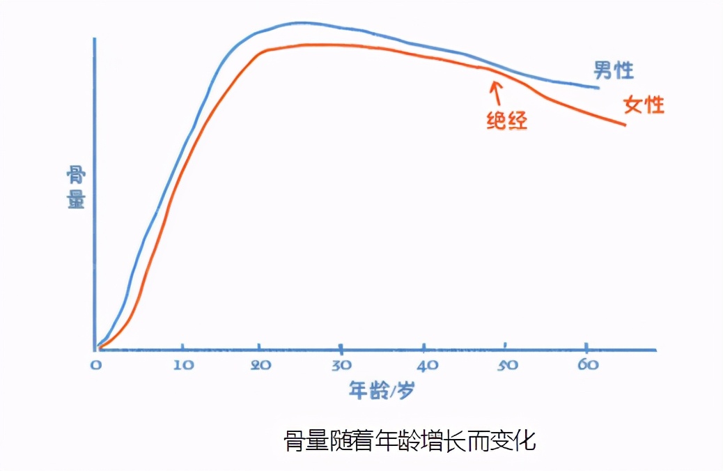 了解自己的身体：体质指数和身体成分