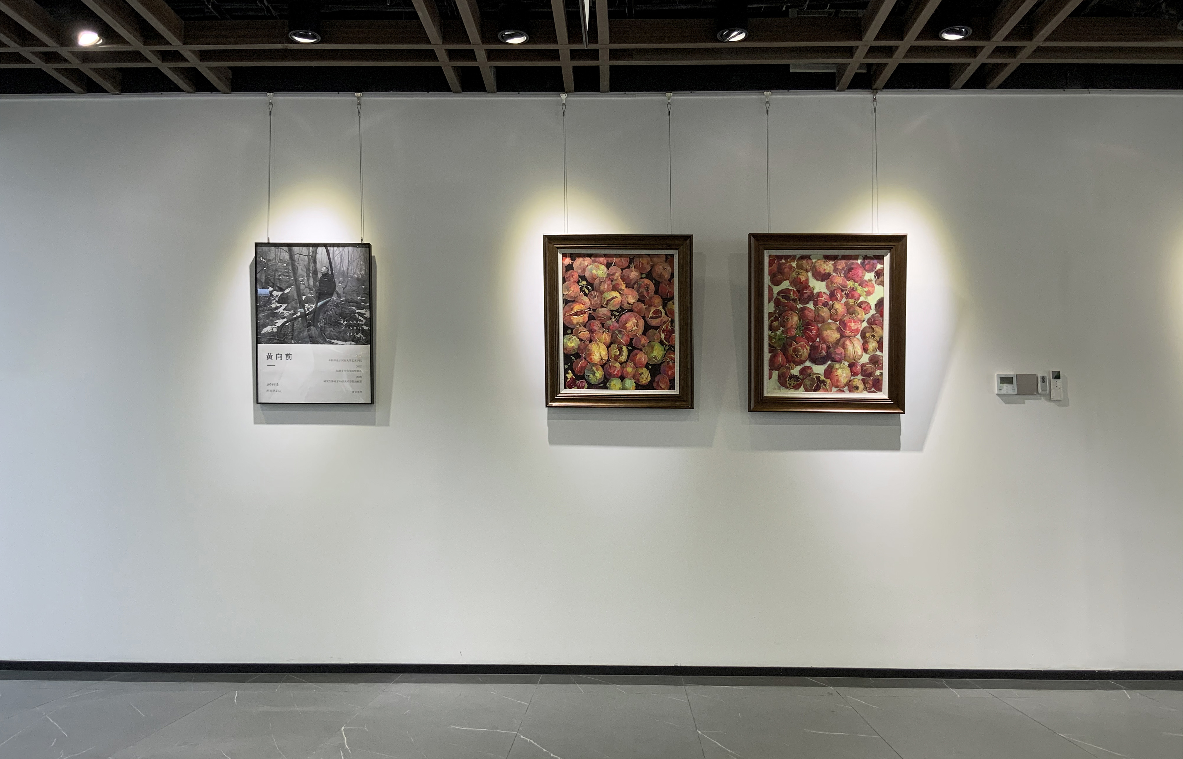 和空间首展｜硕果：黄向前作品展