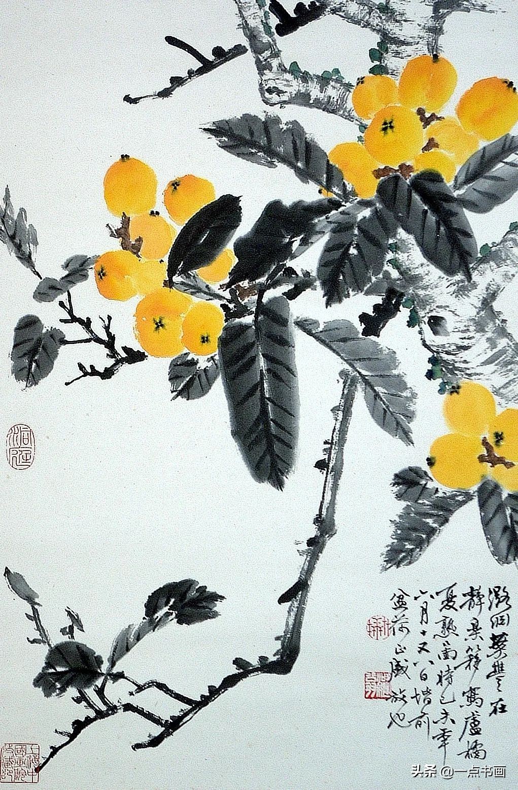 初夏枇杷一树金——分享一组来自上海中国画院名家笔下的枇杷
