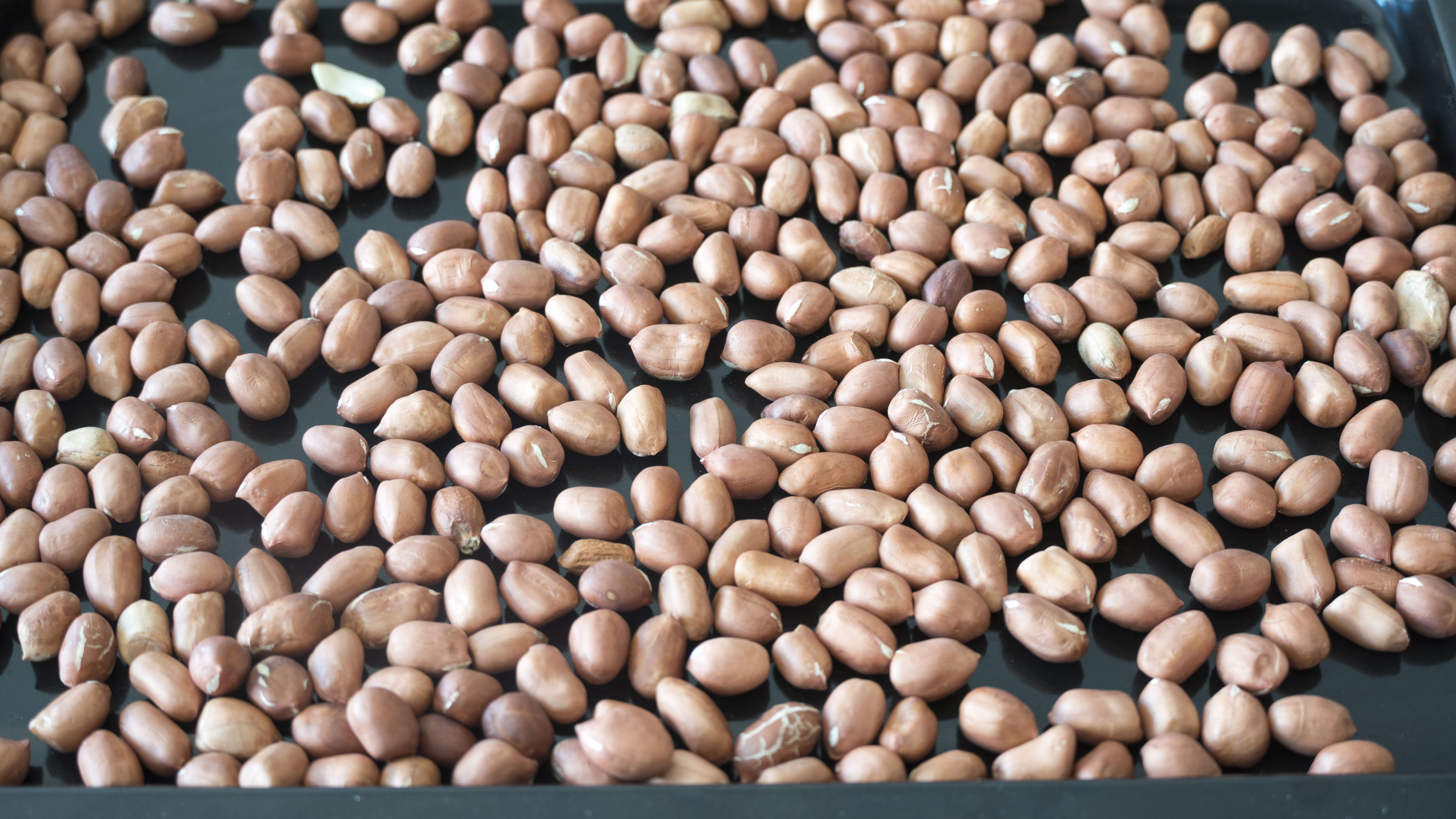 吃什么食物补钙效果最好最快（什么吃的补钙）