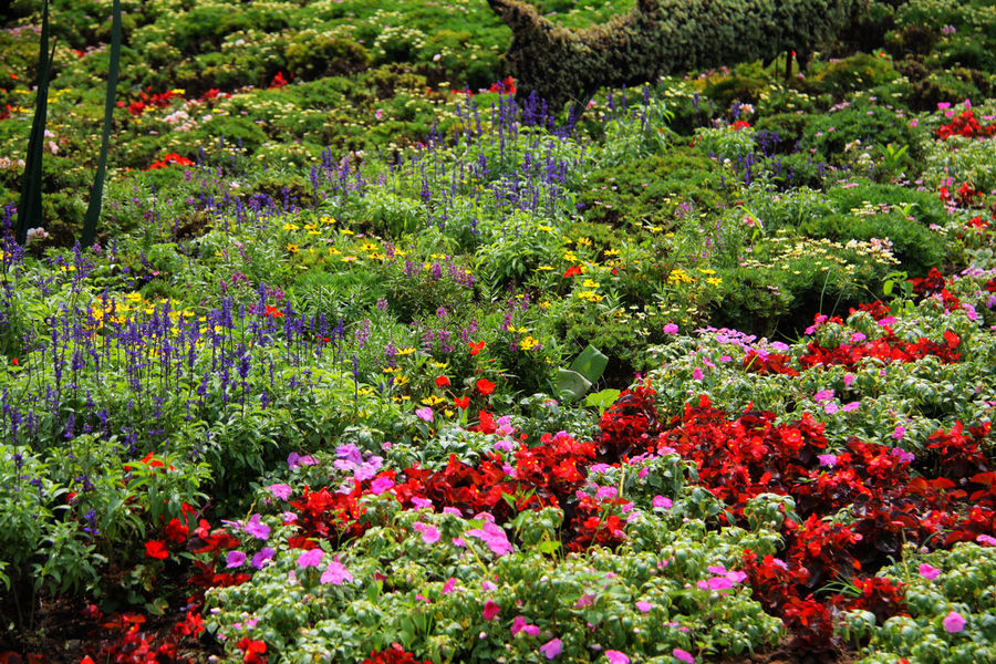 简单了解一下基础的园艺知识，起码你也知道从何入手了