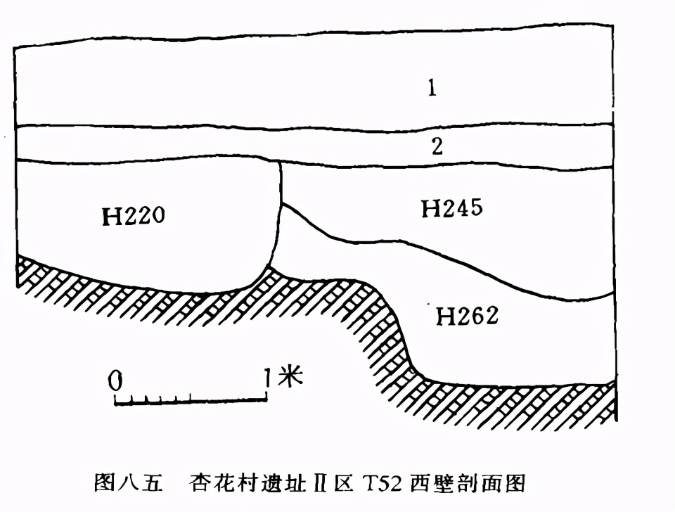 山西省汾阳市杏花村发现仰韶文化遗址