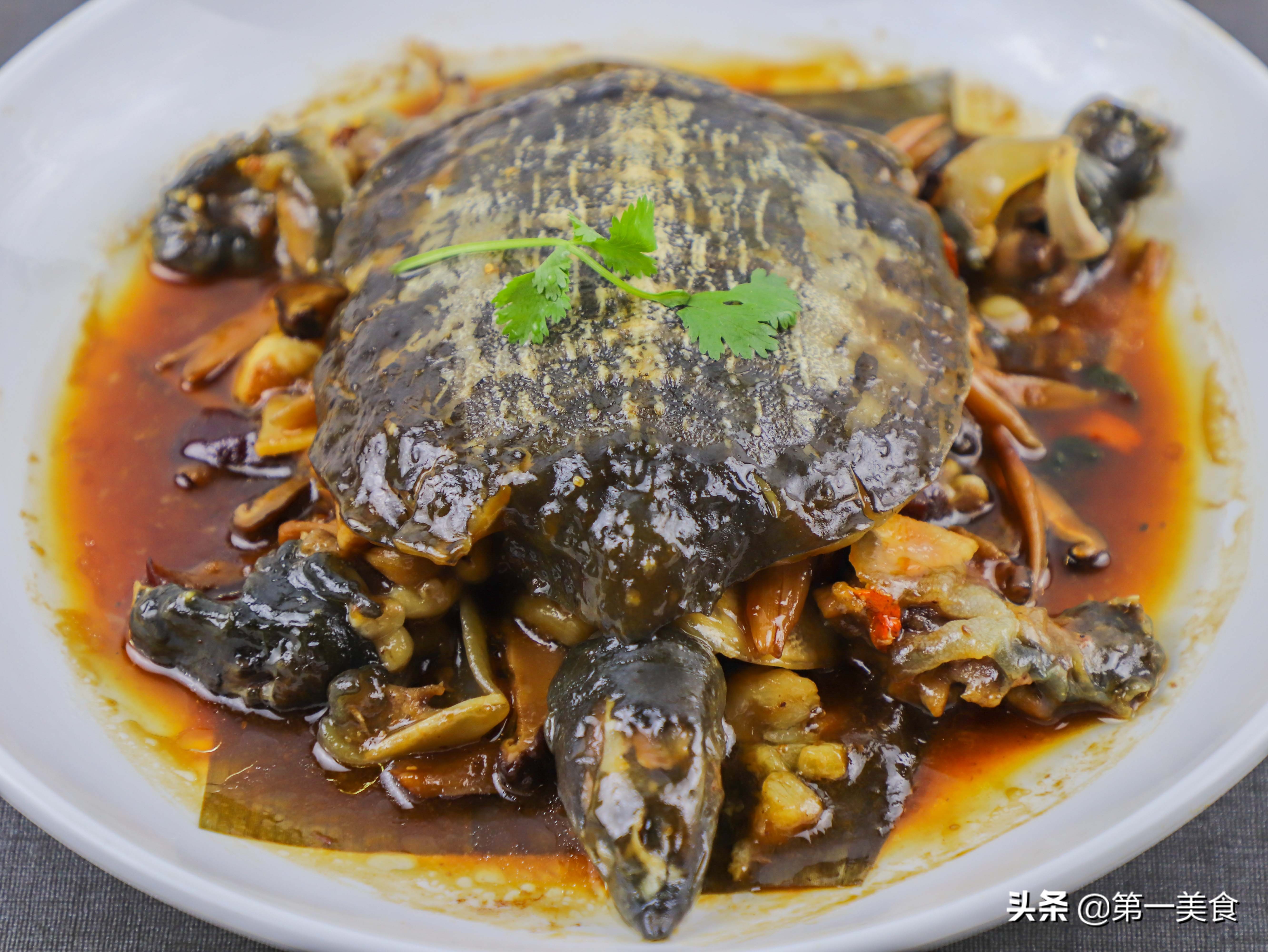 蒸甲魚要蒸多長時間(蒸箱蒸甲魚要多長時間) - 風集網