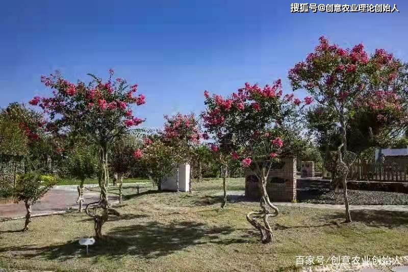 成都创意农业新场景教程（章继刚著）用花园理念重塑田园生活方式