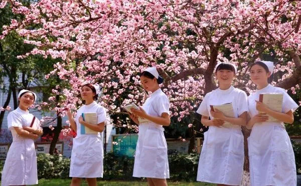 四川这所大名鼎鼎的医专高校，2020年单独招生两千余人