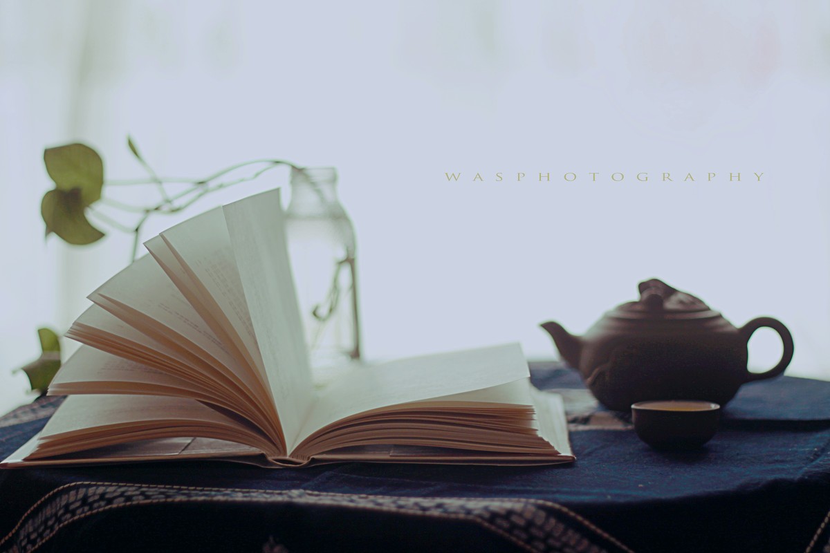 缪斯女神为我打开了创作之门——我与写作的故事