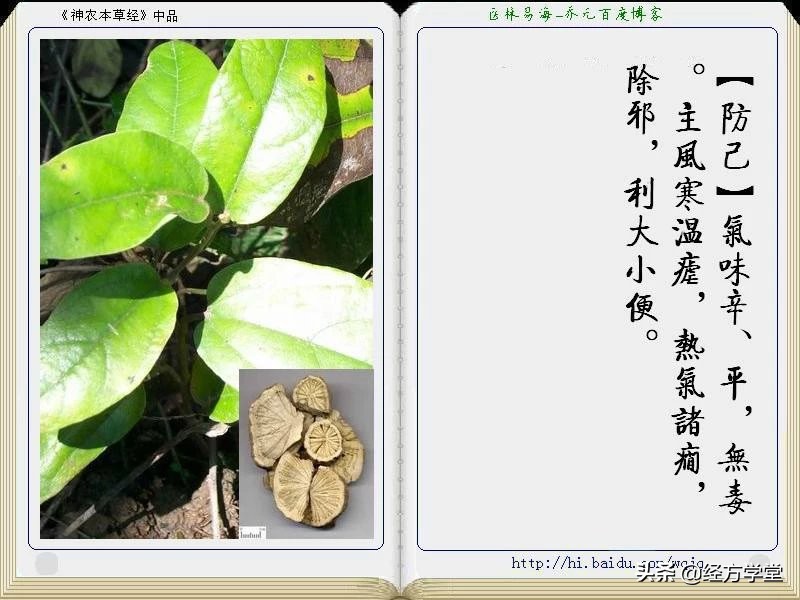 《神农本草经》全册图文解析 建议收藏