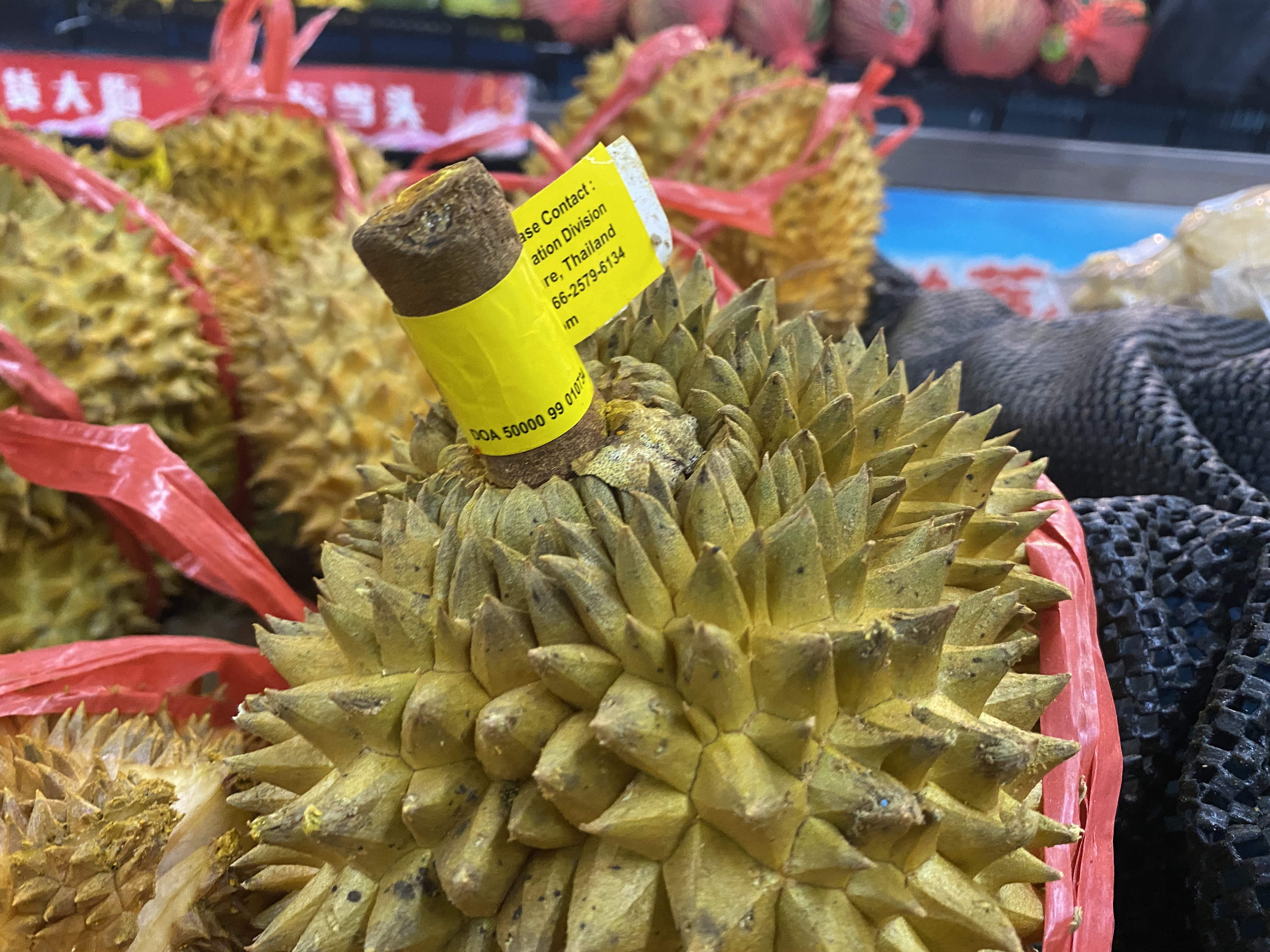 买榴莲就像开盲盒？教你方法，挑选的榴莲不仅果肉多，而且更香甜